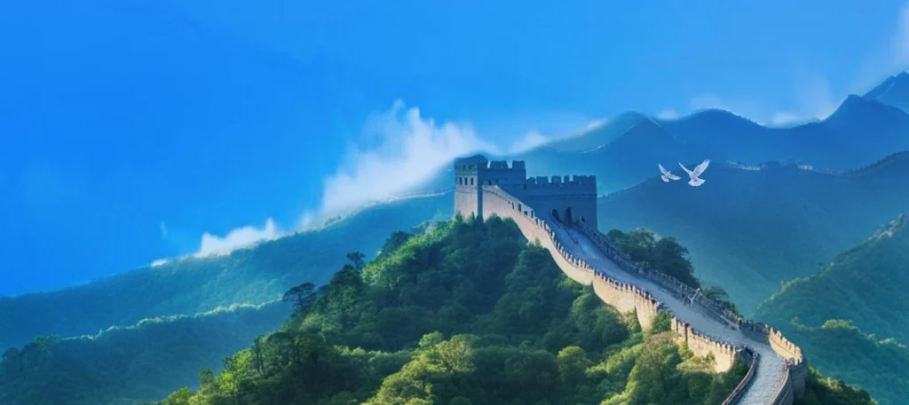 个人所得税与自然人电子税务局会议席位办税服务实景图